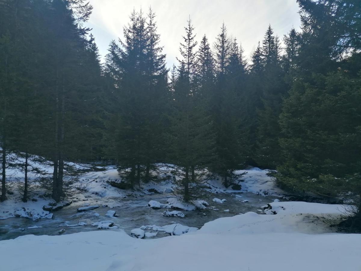 Ferienwohnungen Unterangerhof Quinzo Экстерьер фото
